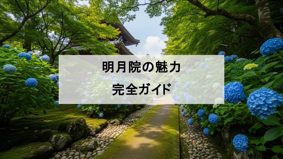 明月院　魅力