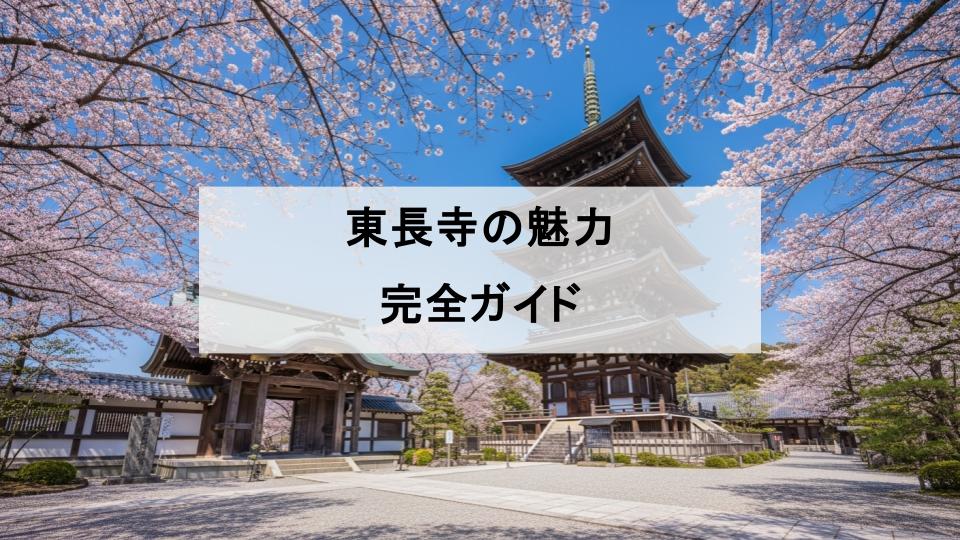 東長寺　魅力　福岡大仏