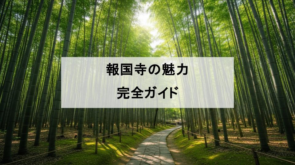 鎌倉　報国寺　魅力