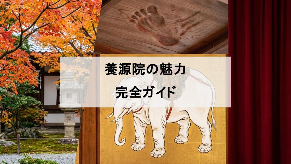 養源院　血天井　鳥居元忠　豊臣兄弟　どうする家康　大河ドラマ　nhk